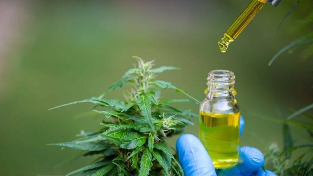 Cannabis dosing and symptom journaling