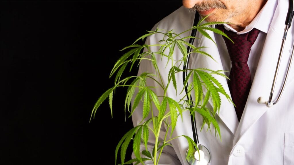 Cannabis strains for migraine relief