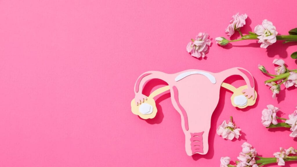 Endocannabinoid system and women’s health