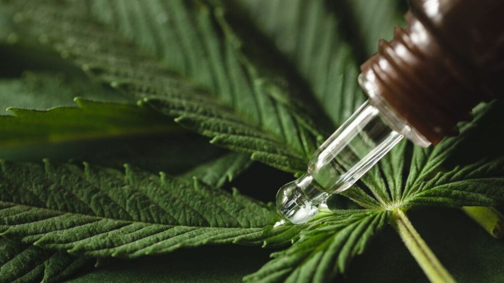 Endometriosis cannabis FAQ