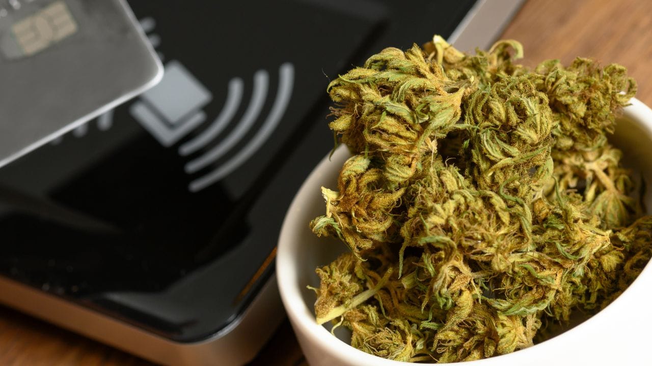 The Fastest Way to Get Your Medical Marijuana Card in Massachusetts