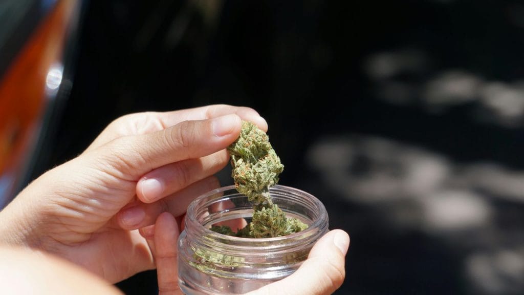 How medical cannabis works for chronic pain in Massachusetts