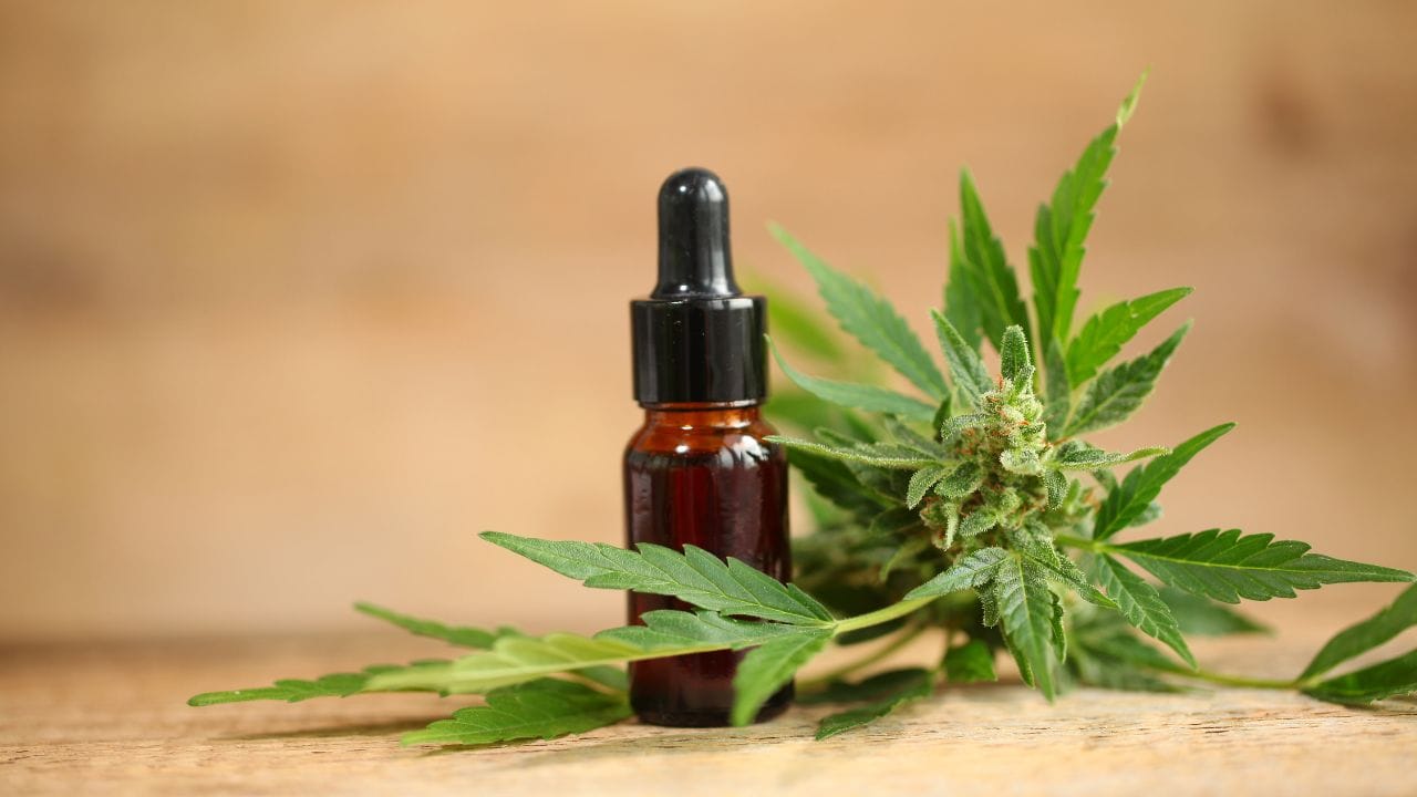 Medical Cannabis For Chronic Pain In Massachusetts: Managing Chronic Pain with Medical Cannabis