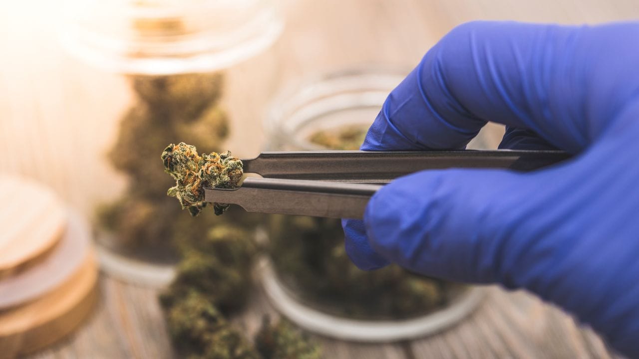 Exploring the Benefits of Medical Cannabis in Massachusetts: Who Qualifies and How to Get Started – Part 1