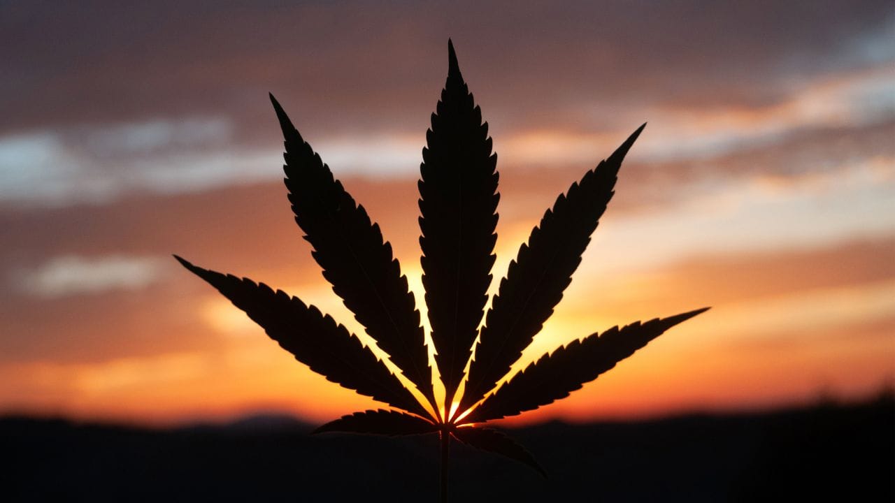 Massachusetts Medical Marijuana Card vs. Recreational Use: What’s the Difference?