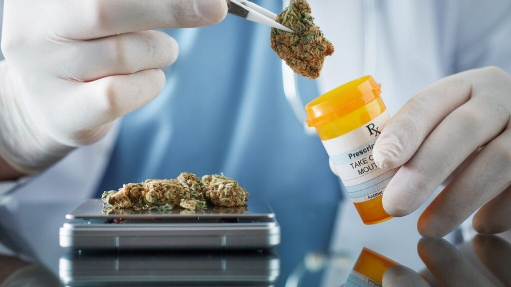 Massachusetts medical marijuana laws