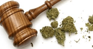 New Bill to Protect the Rights of Massachusetts Medical Marijuana Patients