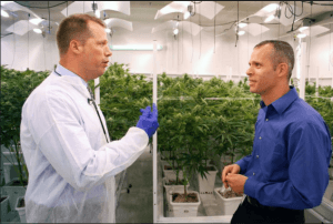 Screenshot from a Boston Globe article on Massachusetts medical marijuana dispensaries