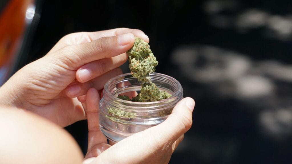 THC and CBD for nerve pain relief