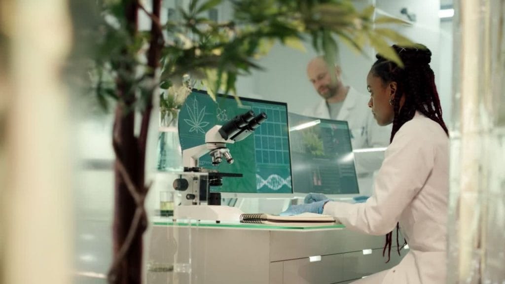 The application process for a medical marijuana card