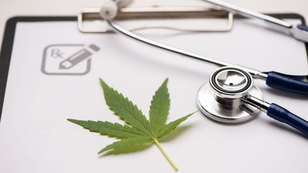 Understanding medical cannabis consultations