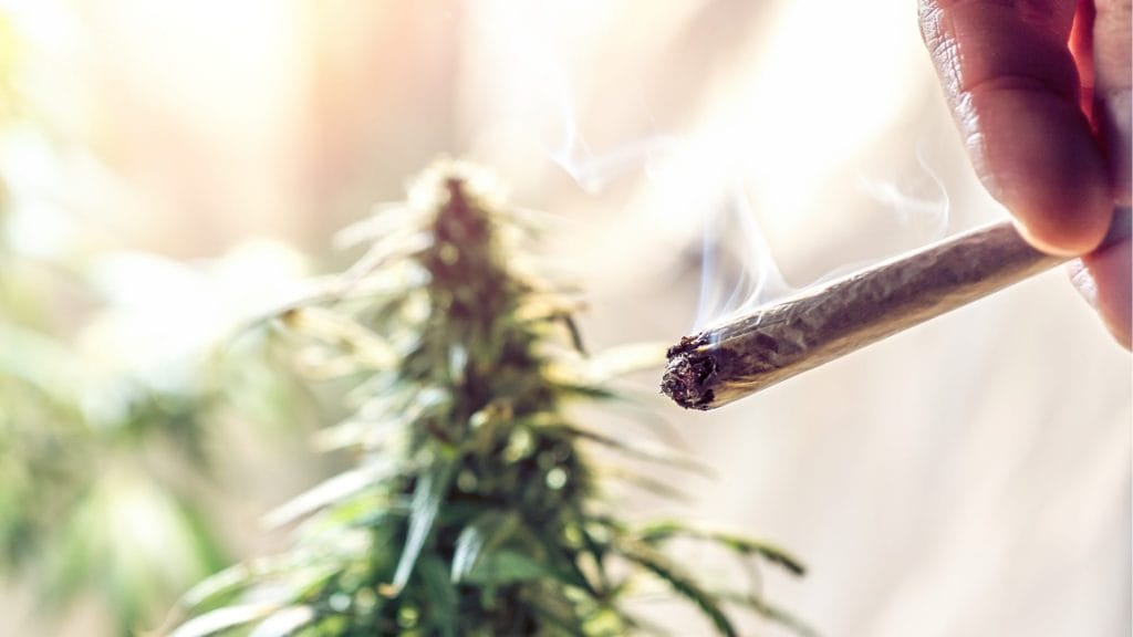 Understanding medical marijuana in Massachusetts