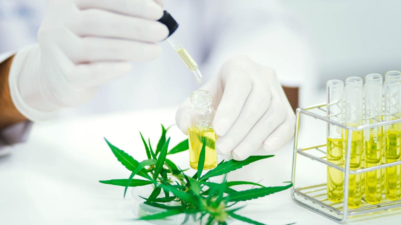 Virtual Medical Marijuana Certifications | MA Telemedicine Available