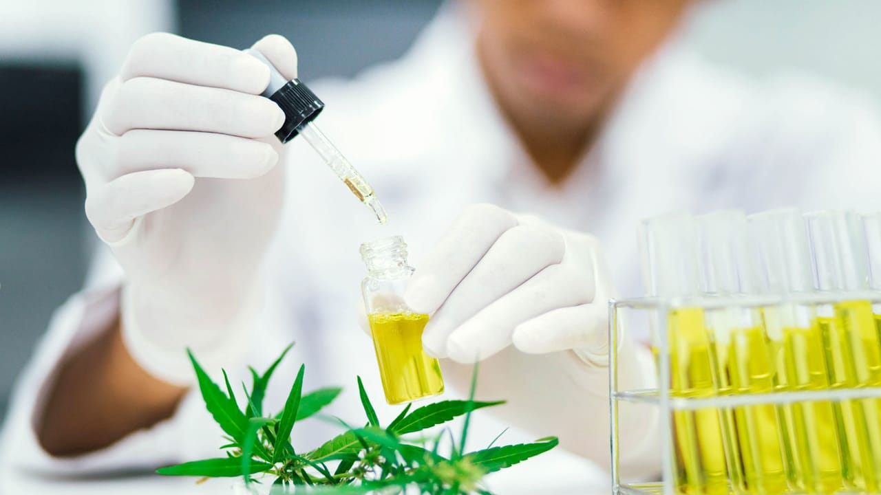 Your Guide to Medical Marijuana Doctors in Massachusetts: What You Need to Know