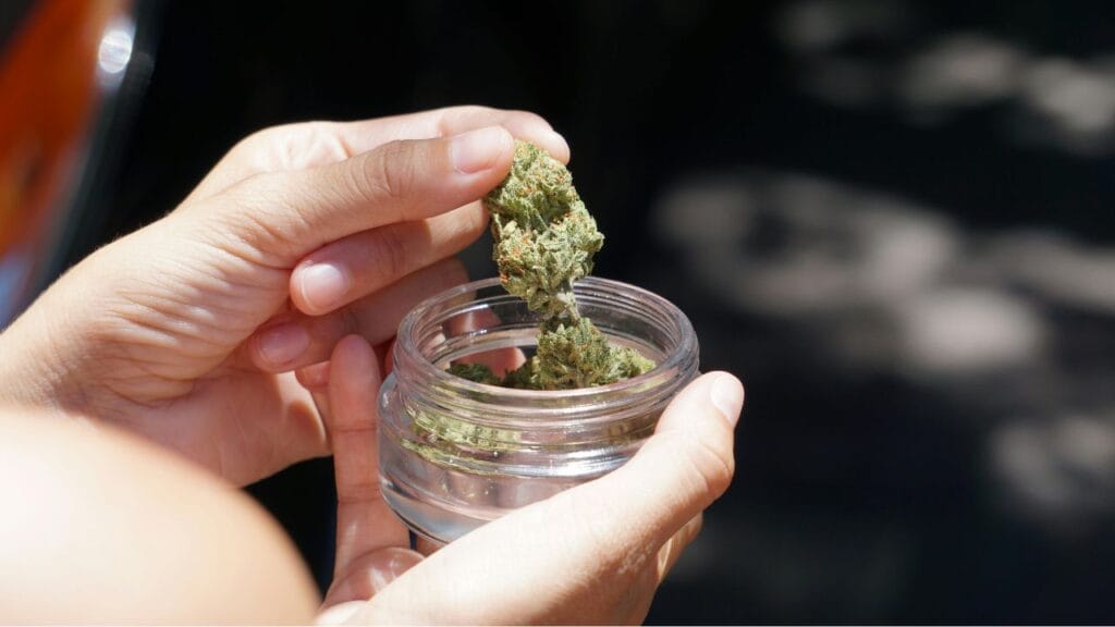 Considerations for seniors using medical marijuana