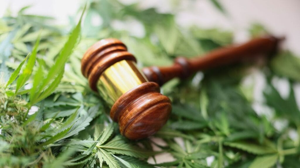 Legal protections for seniors using medical marijuana