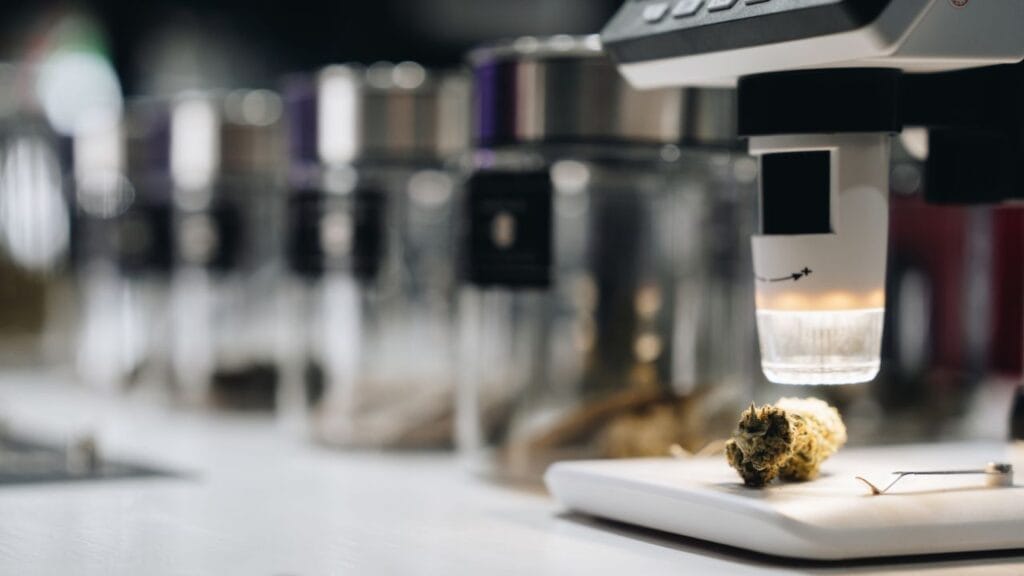 Tips for seniors navigating dispensaries